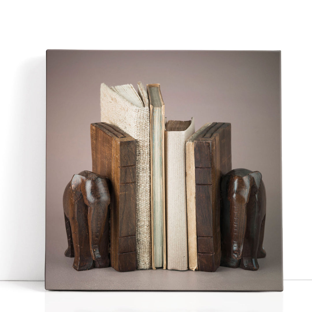 Wooden Elephant Book Shelf - Canvas Print Wall Art