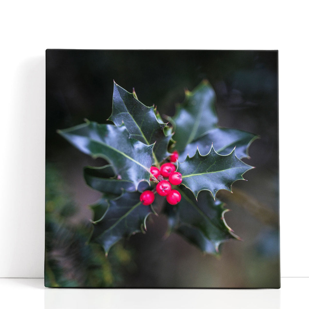 Christmas Holly - Canvas Print Wall Art