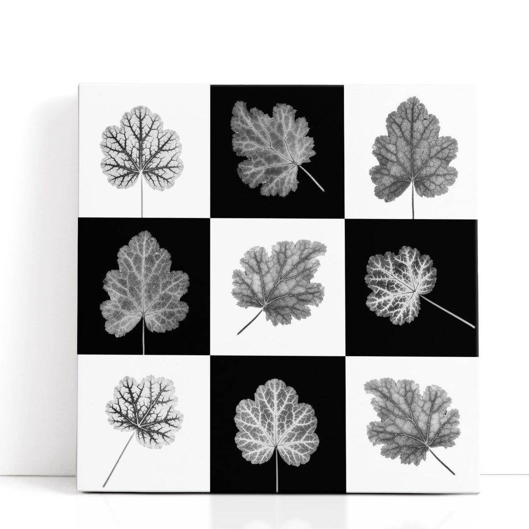 Heuchera Leaf Collage - Canvas Print Wall Art