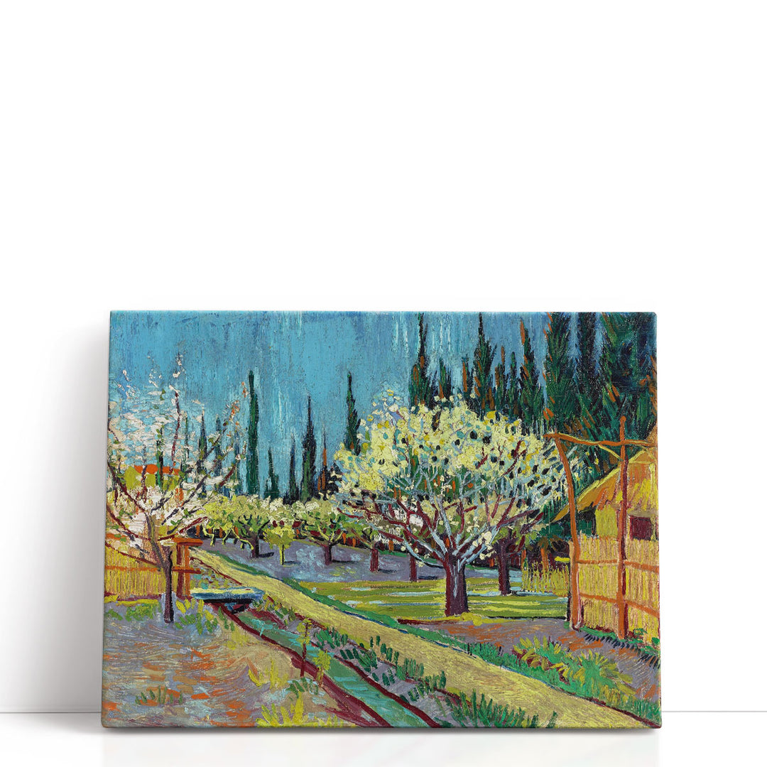 Orchard Bordered by Cypresses, 1888 - Canvas Print Wall Art