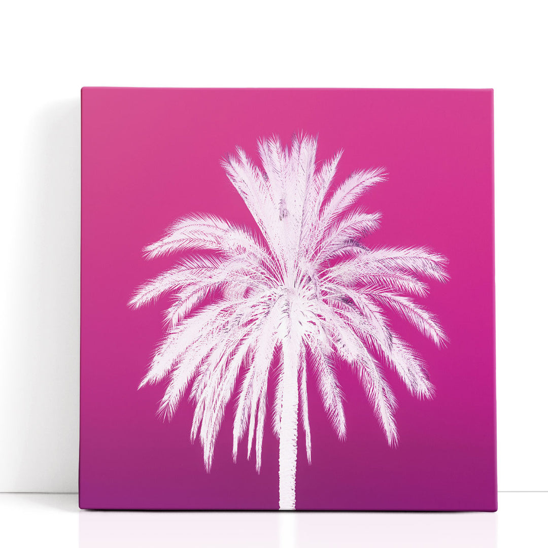 Palm Tree - Canvas Print Wall Art