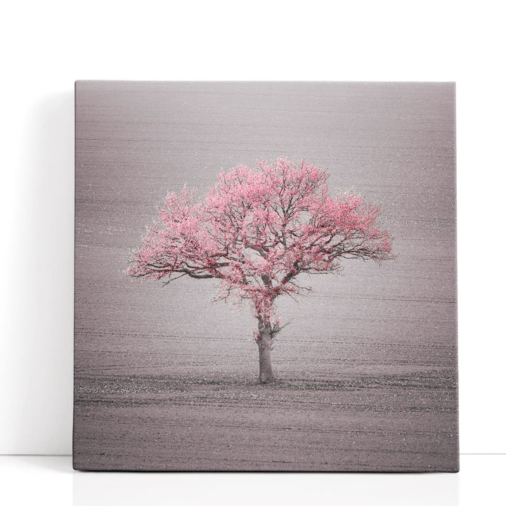 Single Tree in Foggy Grassfield - Canvas Print Wall Art