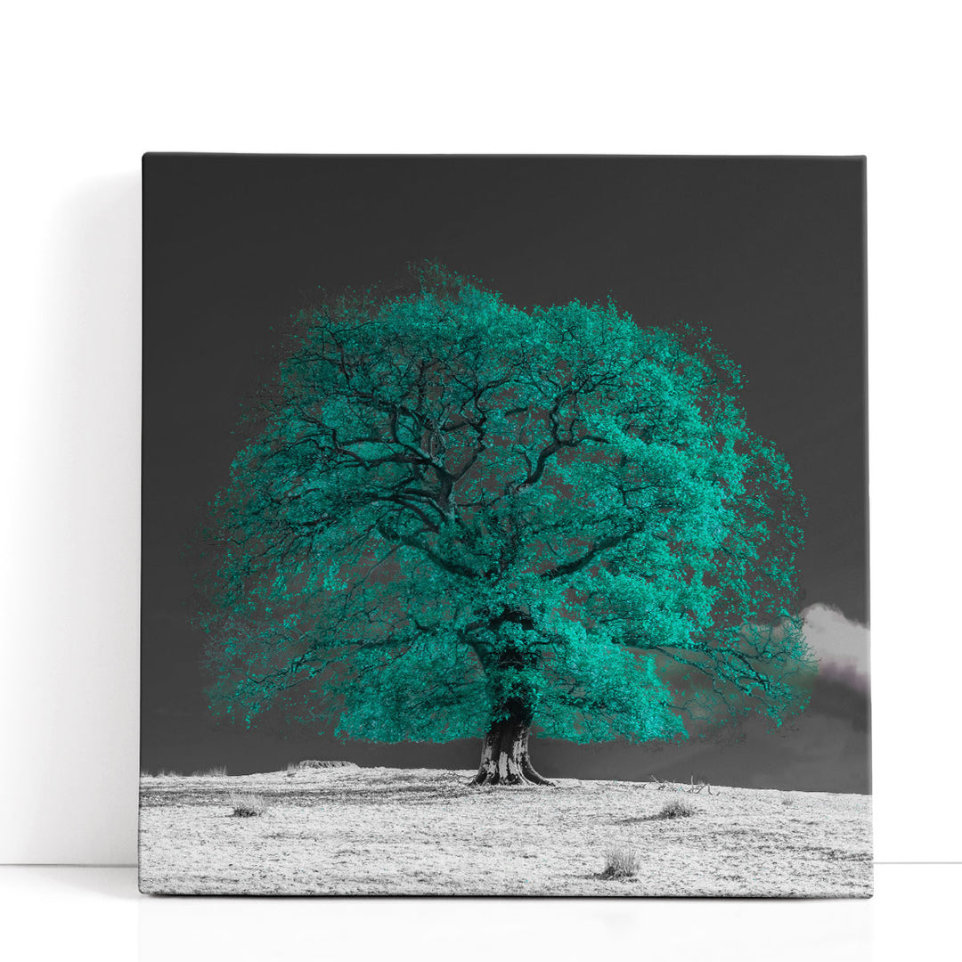 Tree on a Hill - Canvas Print Wall Art