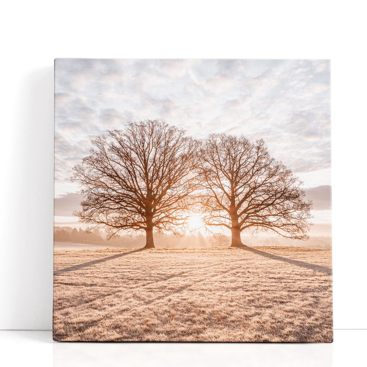 Trees in Meadow - Canvas Print Wall Art
