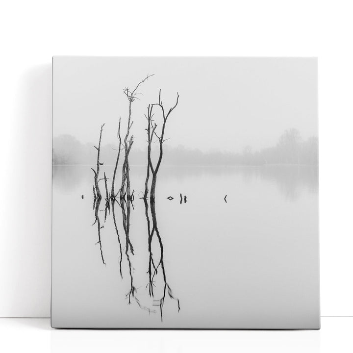 Twigs in Lake - Canvas Print Wall Art