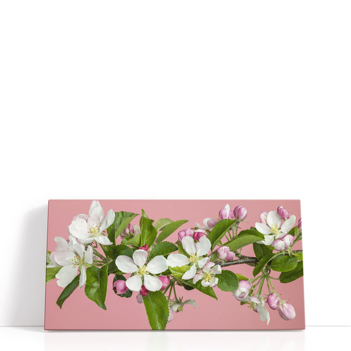 Apple Blossom - Canvas Print Wall Art