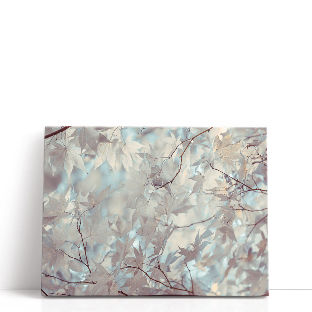Autumn Coloured Leaves Backlit - Canvas Print Wall Art