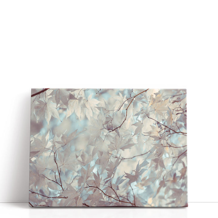Autumn Coloured Leaves Backlit - Canvas Print Wall Art