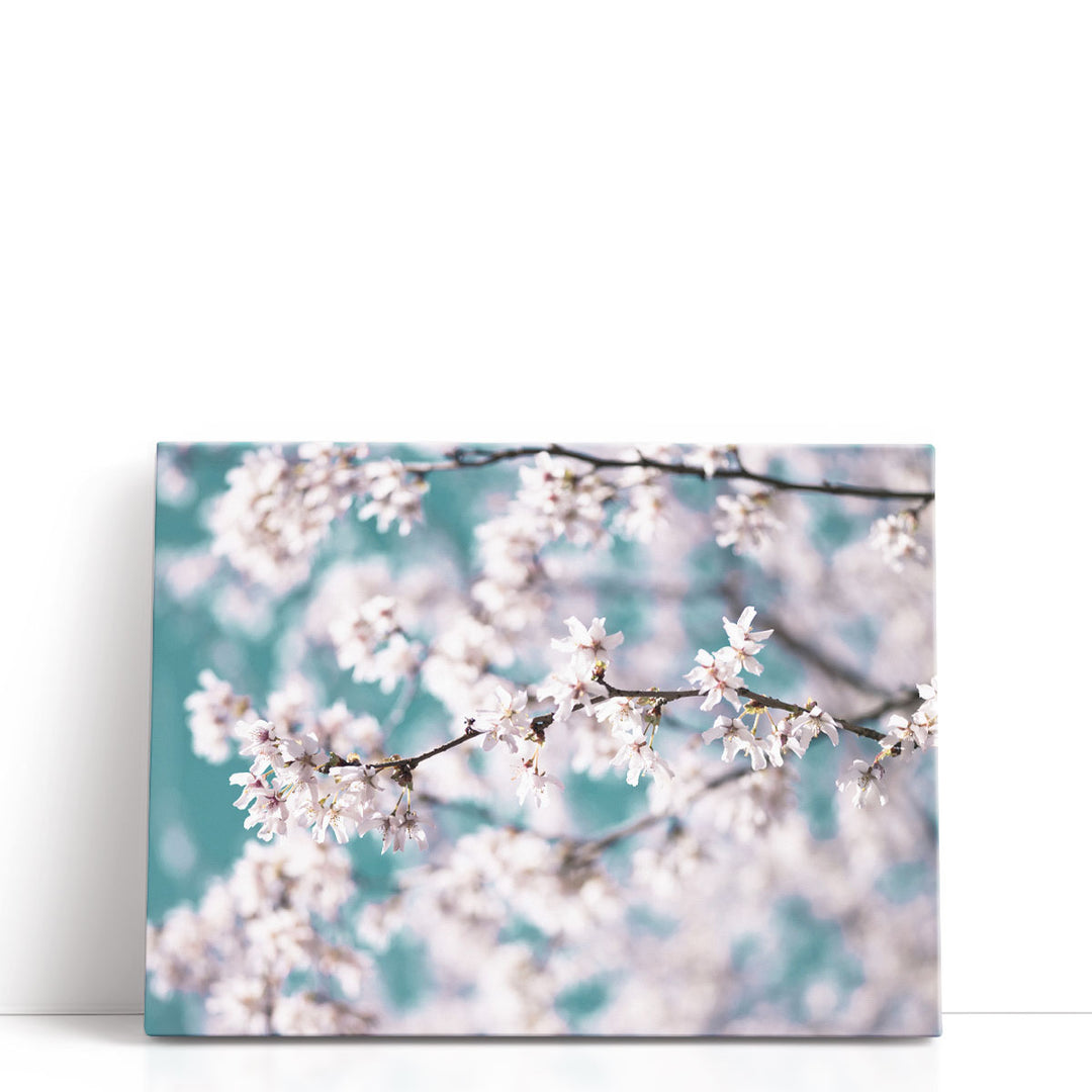 Blossom Flowers - Canvas Print Wall Art