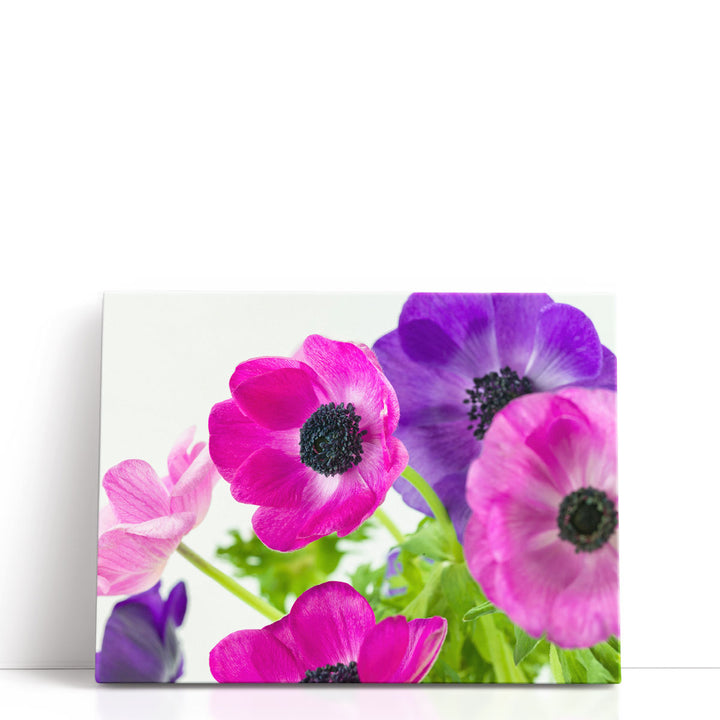 Bunch of Anemone Flowers - Canvas Print Wall Art