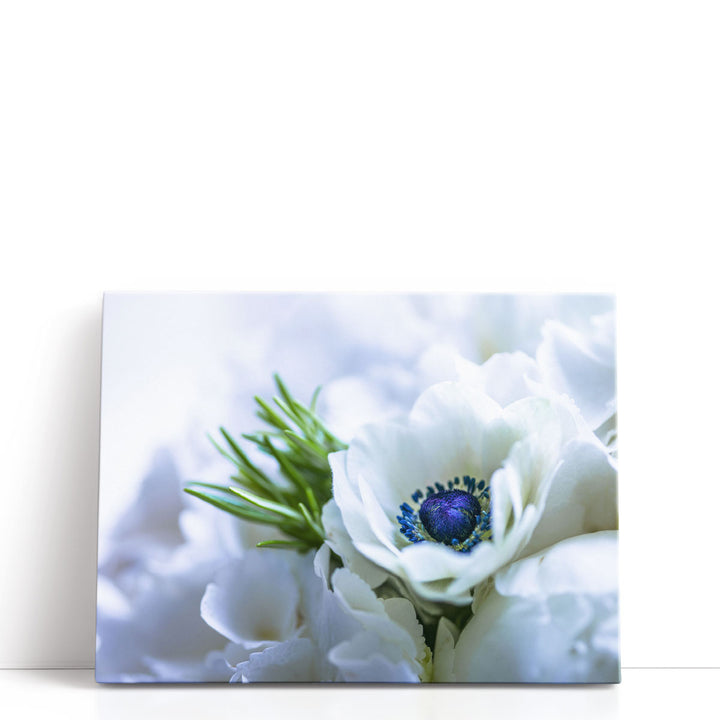 Bunch Of Anemone Indoors - Canvas Print Wall Art