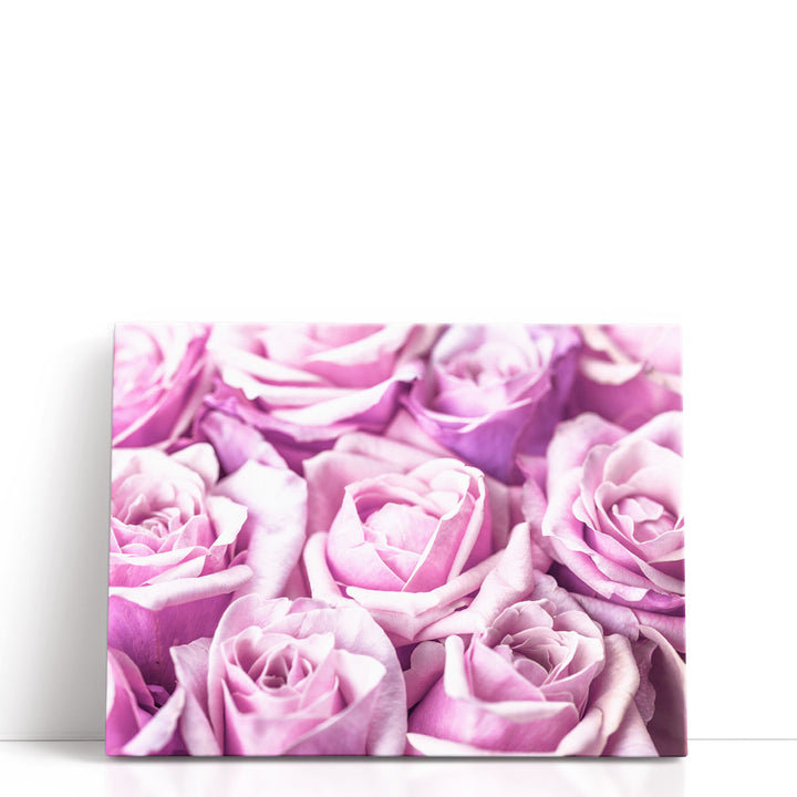 Bunch Of Roses - Canvas Print Wall Art