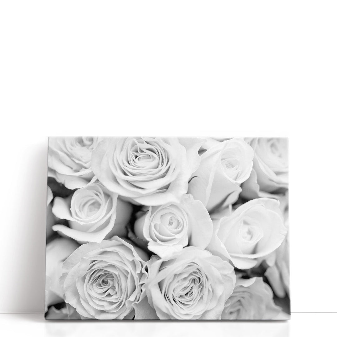 Close-up Of Bunch Of Roses Black And White - Canvas Print Wall Art