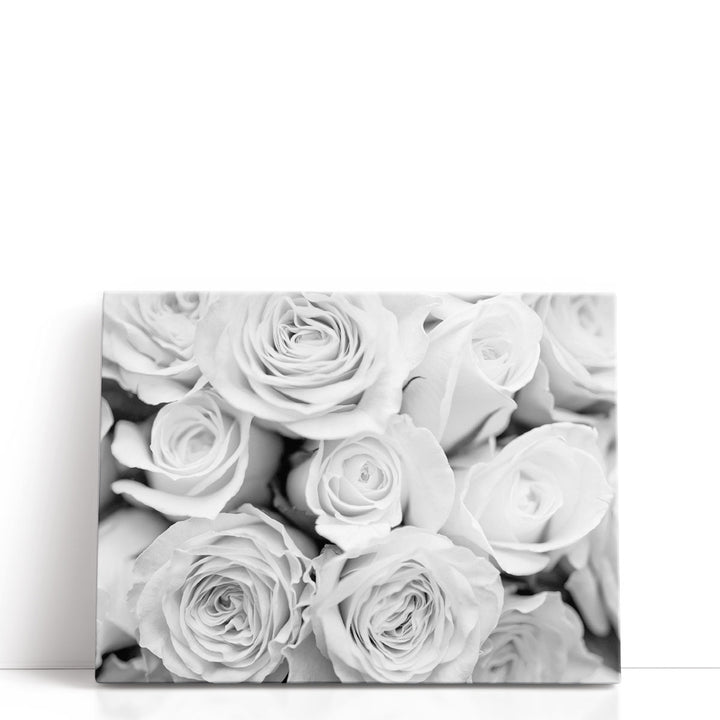 Close-up Of Bunch Of Roses Black And White - Canvas Print Wall Art