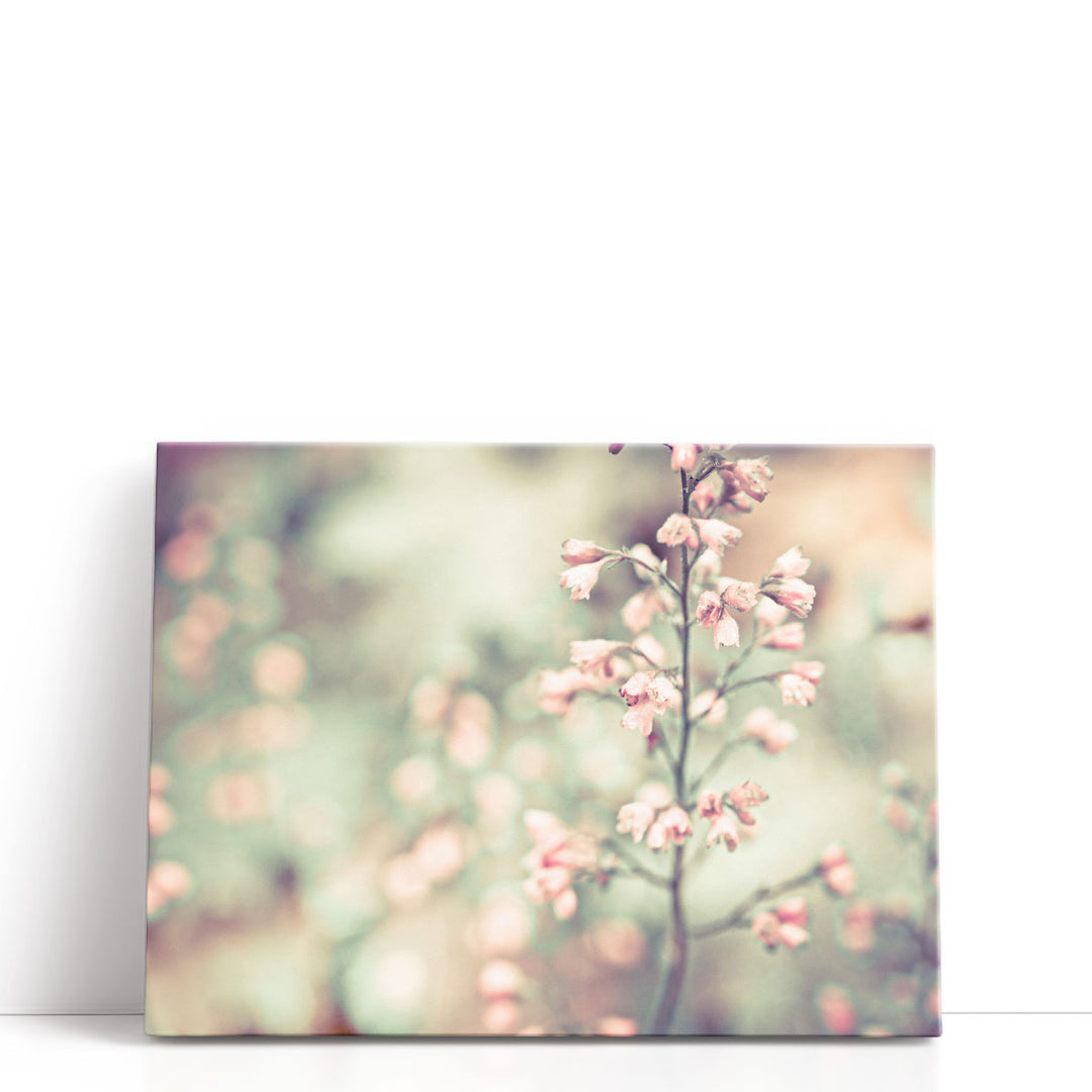 Flowering Heuchera - Canvas Print Wall Art