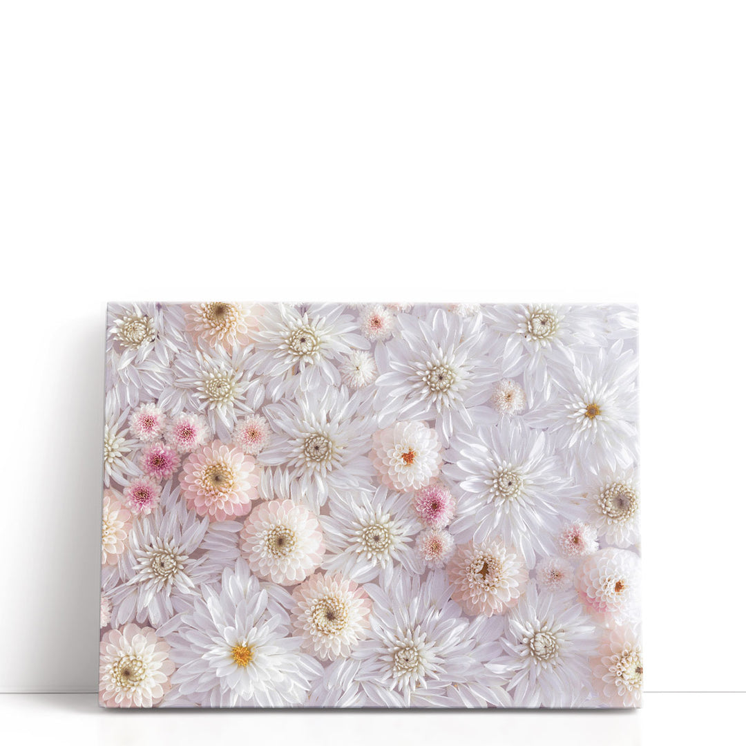 Full Frame Of Dahlia Flowers - Canvas Print Wall Art