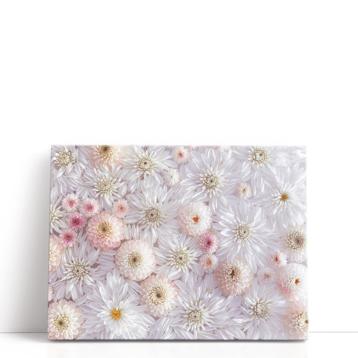 Full Frame Of Dahlia Flowers - Canvas Print Wall Art