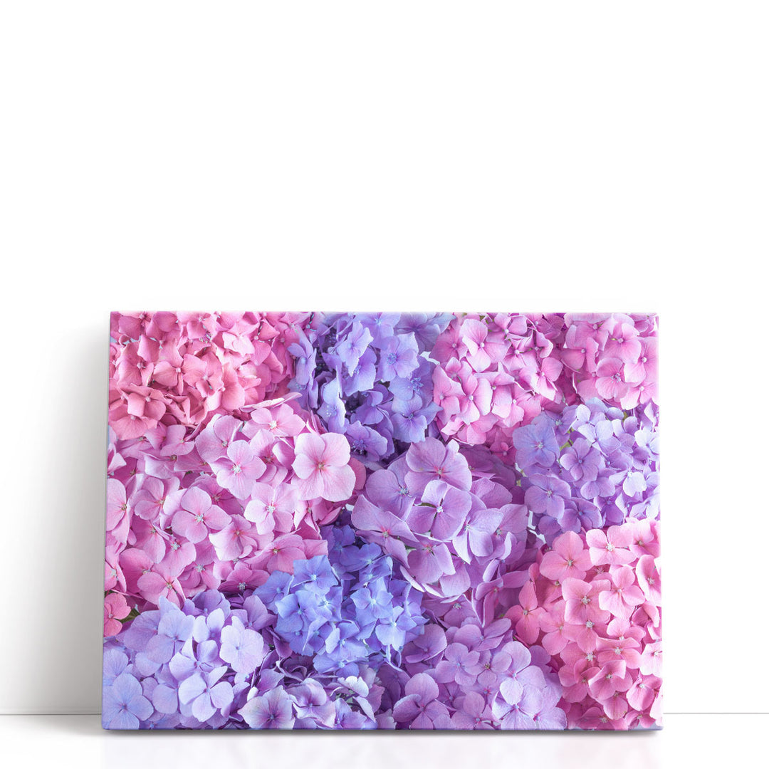 Hydrangeas Pink - Canvas Print Wall Art