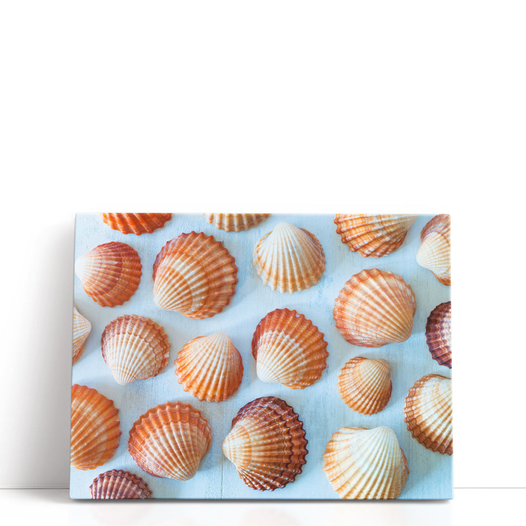 Mass Of Sea Shells - Canvas Print Wall Art