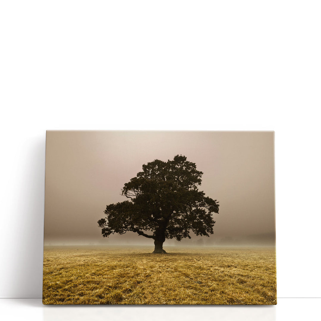 Single Tree In Mist And Fog - Canvas Print Wall Art