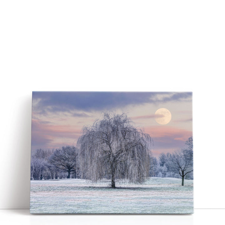 Frost tree prints with soft winter tones