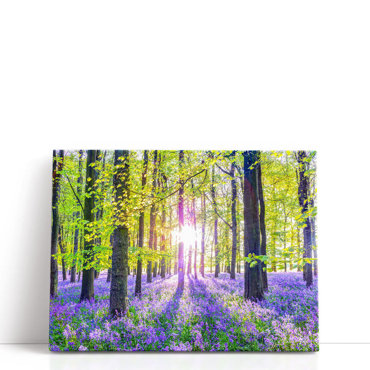 Bluebells Forest - Canvas Print Wall Art