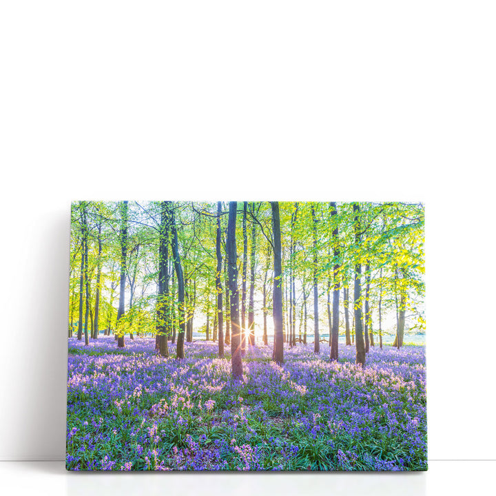Bluebells I - Canvas Print Wall Art