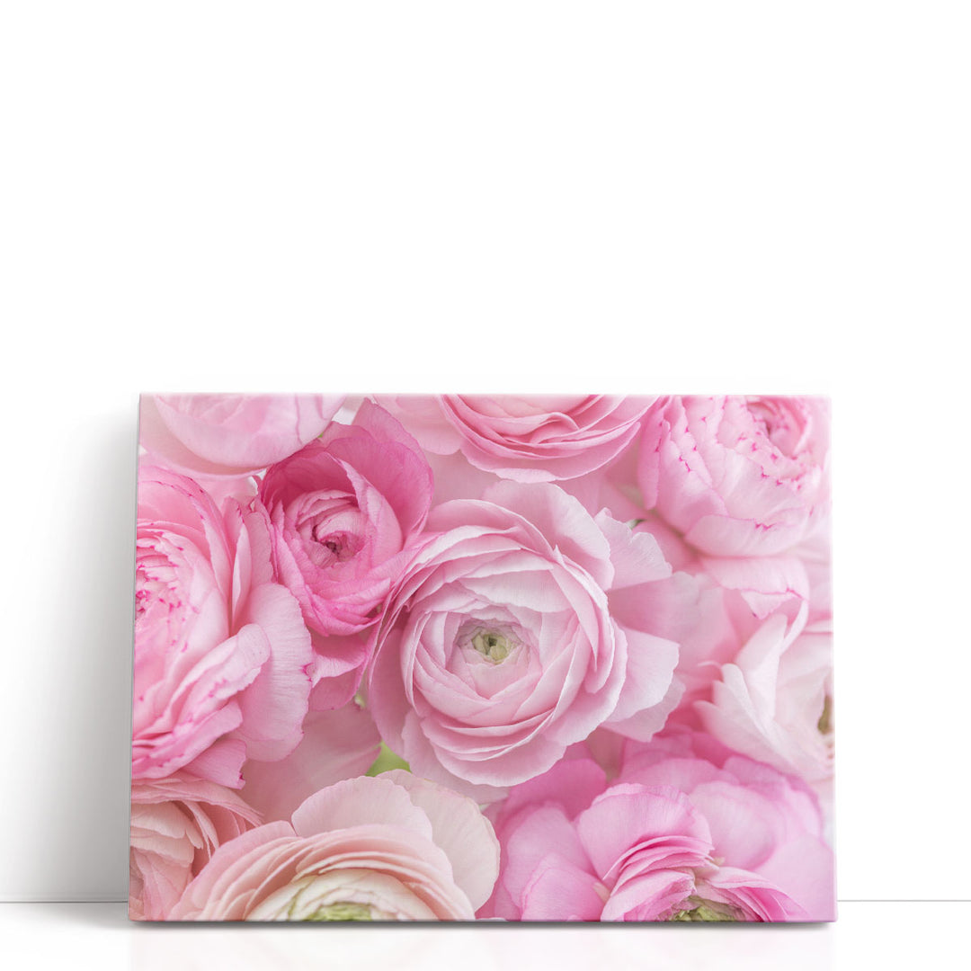 Bunch of Ranunculus - Canvas Print Wall Art
