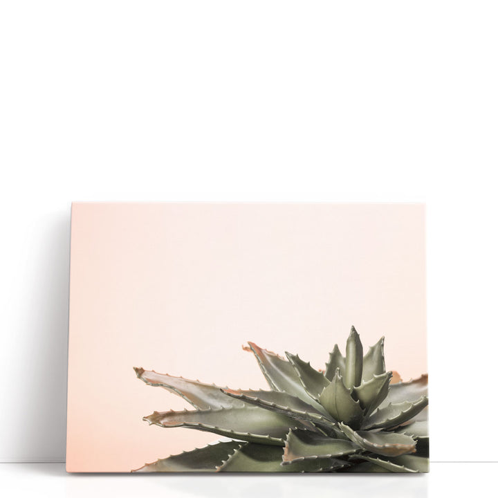 Cactus - Canvas Print Wall Art