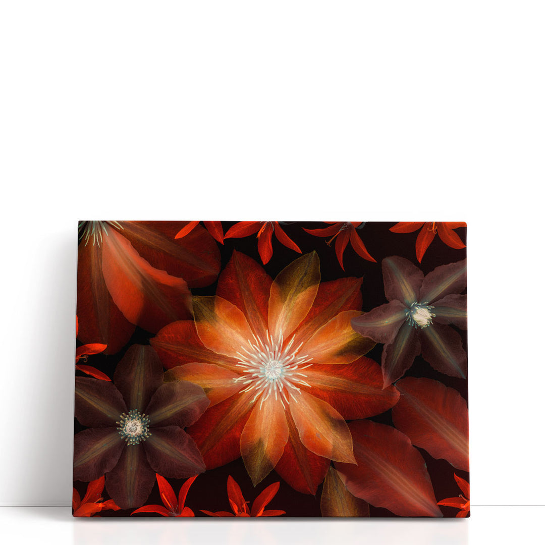 Clematis Flowers I - Canvas Print Wall Art