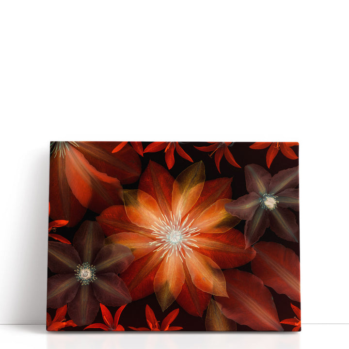 Clematis Flowers I - Canvas Print Wall Art