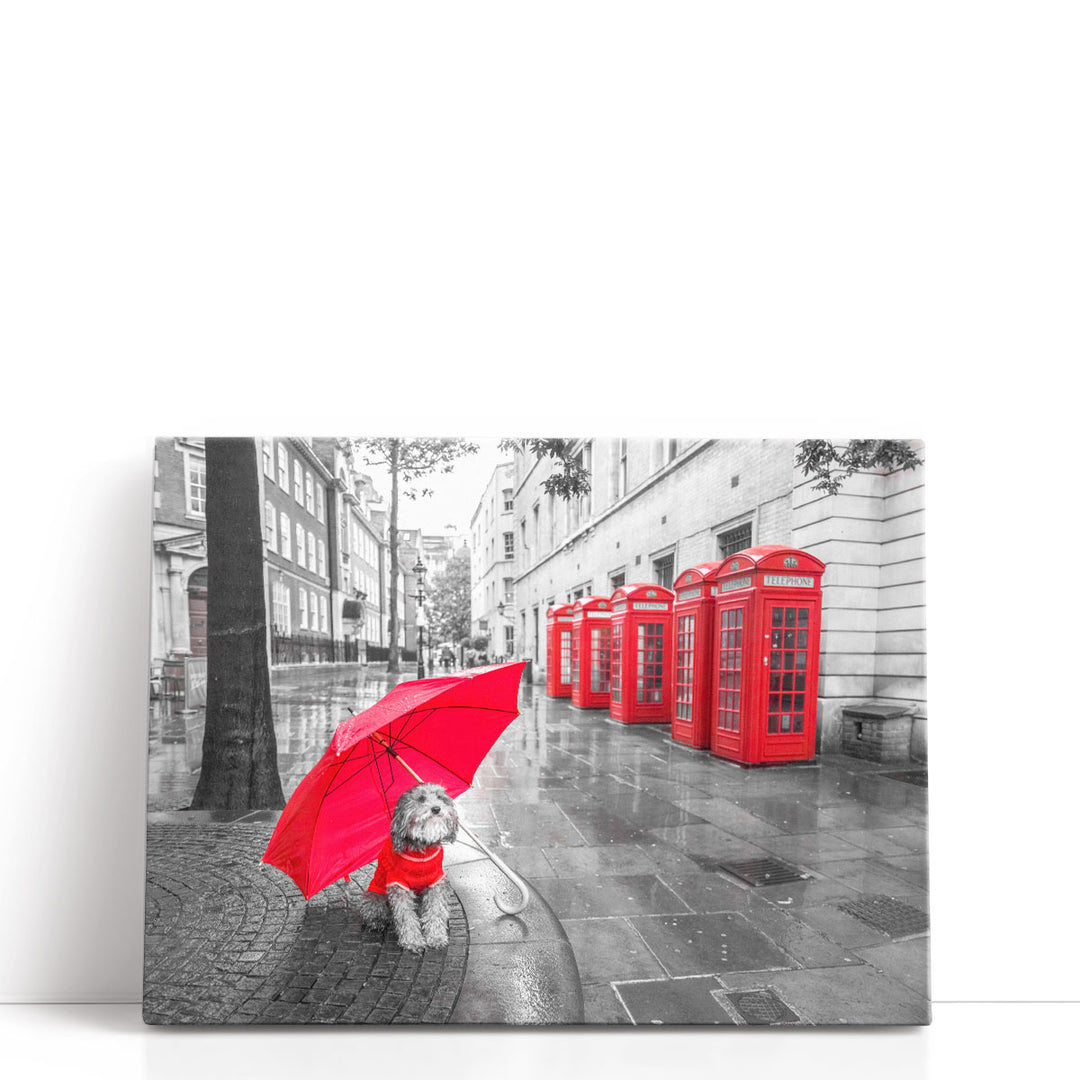 Dog with Umbrella in London - Canvas Print Wall Art