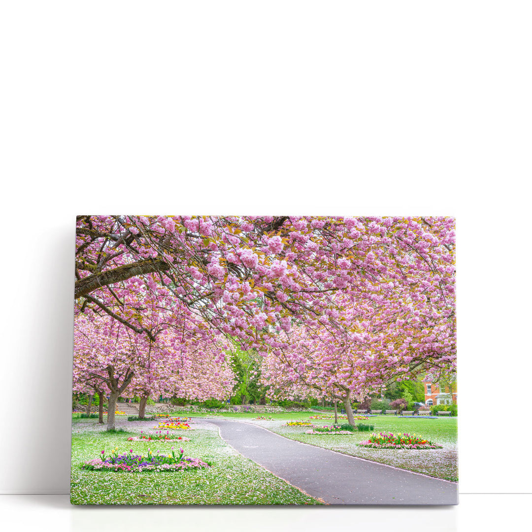 Blossom in the Park - Canvas Print Wall Art