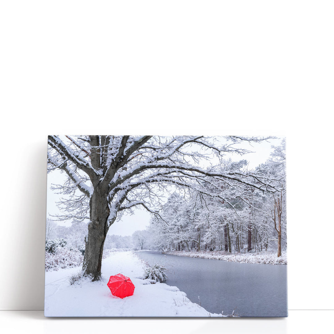 Umbrella by a Canal with Snow Covered Trees - Canvas Print Wall Art