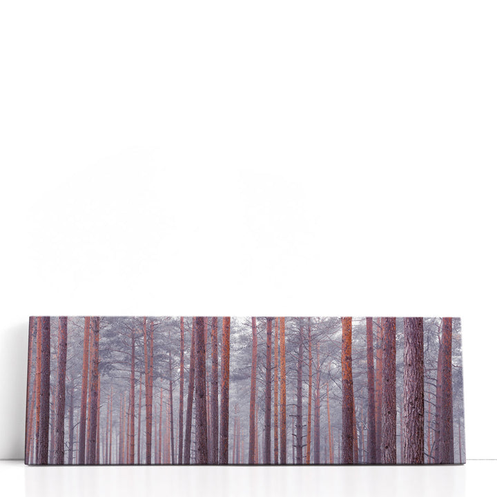 Tree Trunks - Canvas Print Wall Art