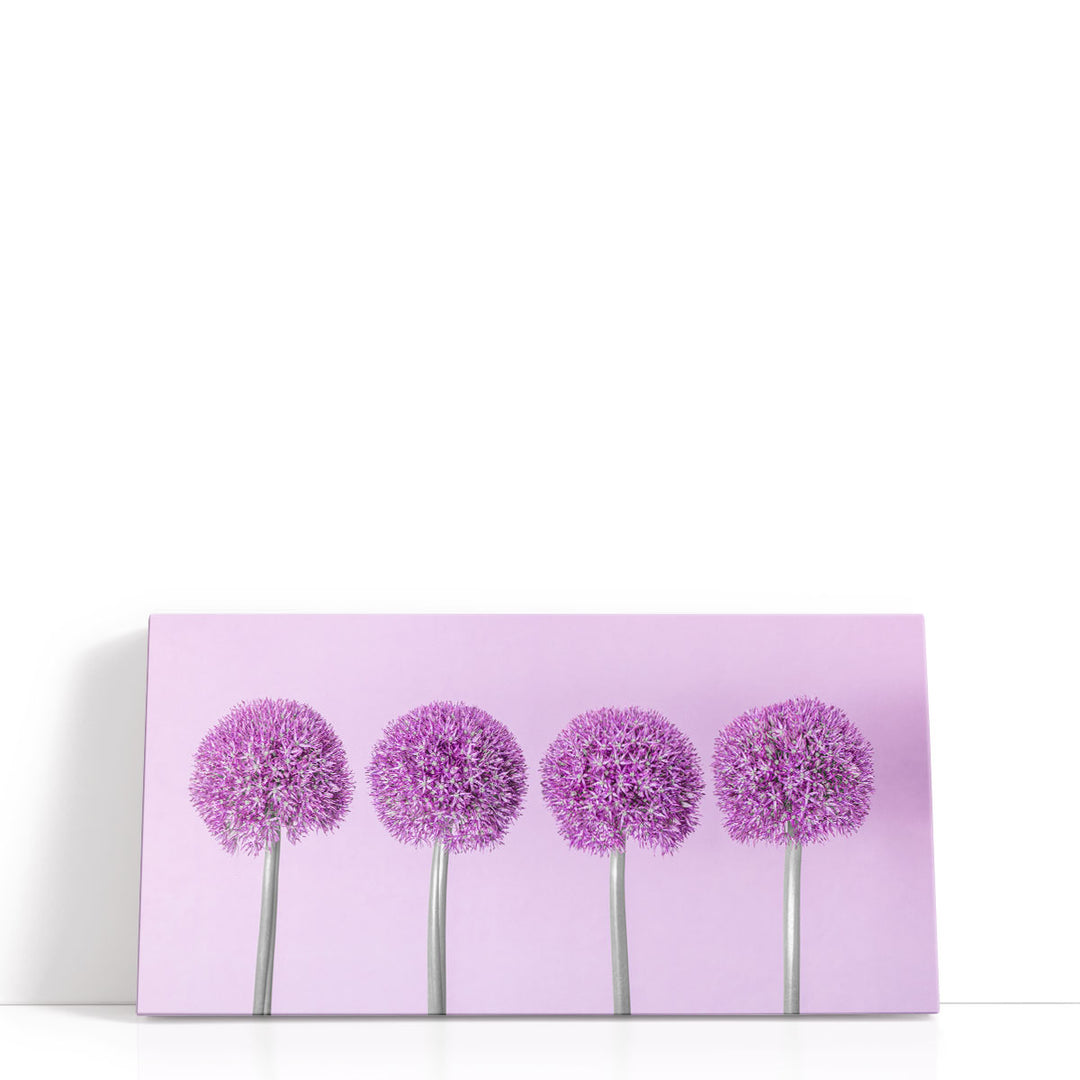 Allium Flowers - Canvas Print Wall Art