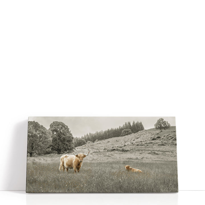 Highland cow decor in black and white photography