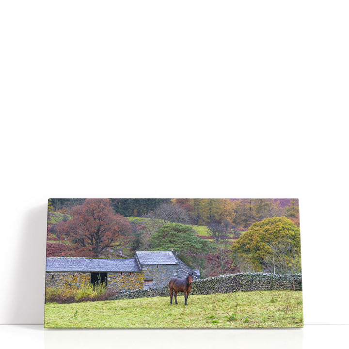 Brown horse canvas art in countryside setting
