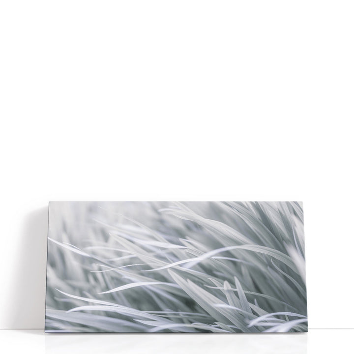 Leaves - Canvas Print Wall Art