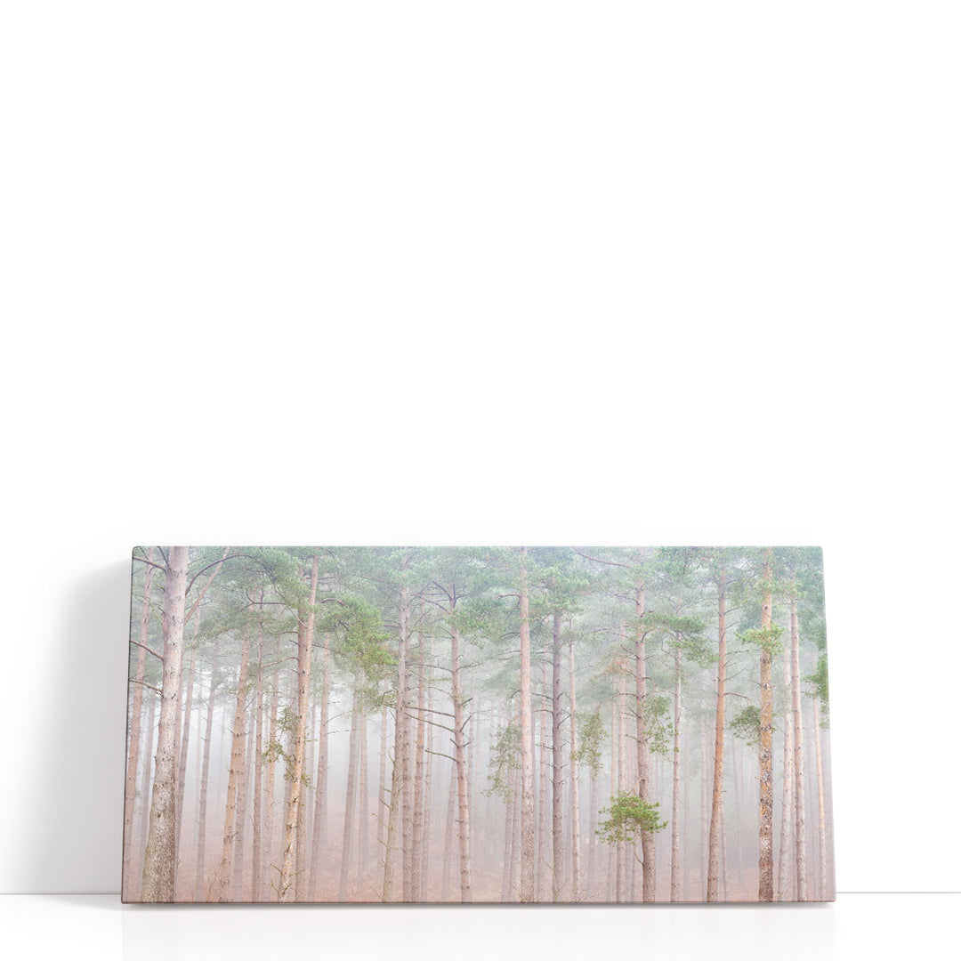 Misty Forest - Canvas Print Wall Art