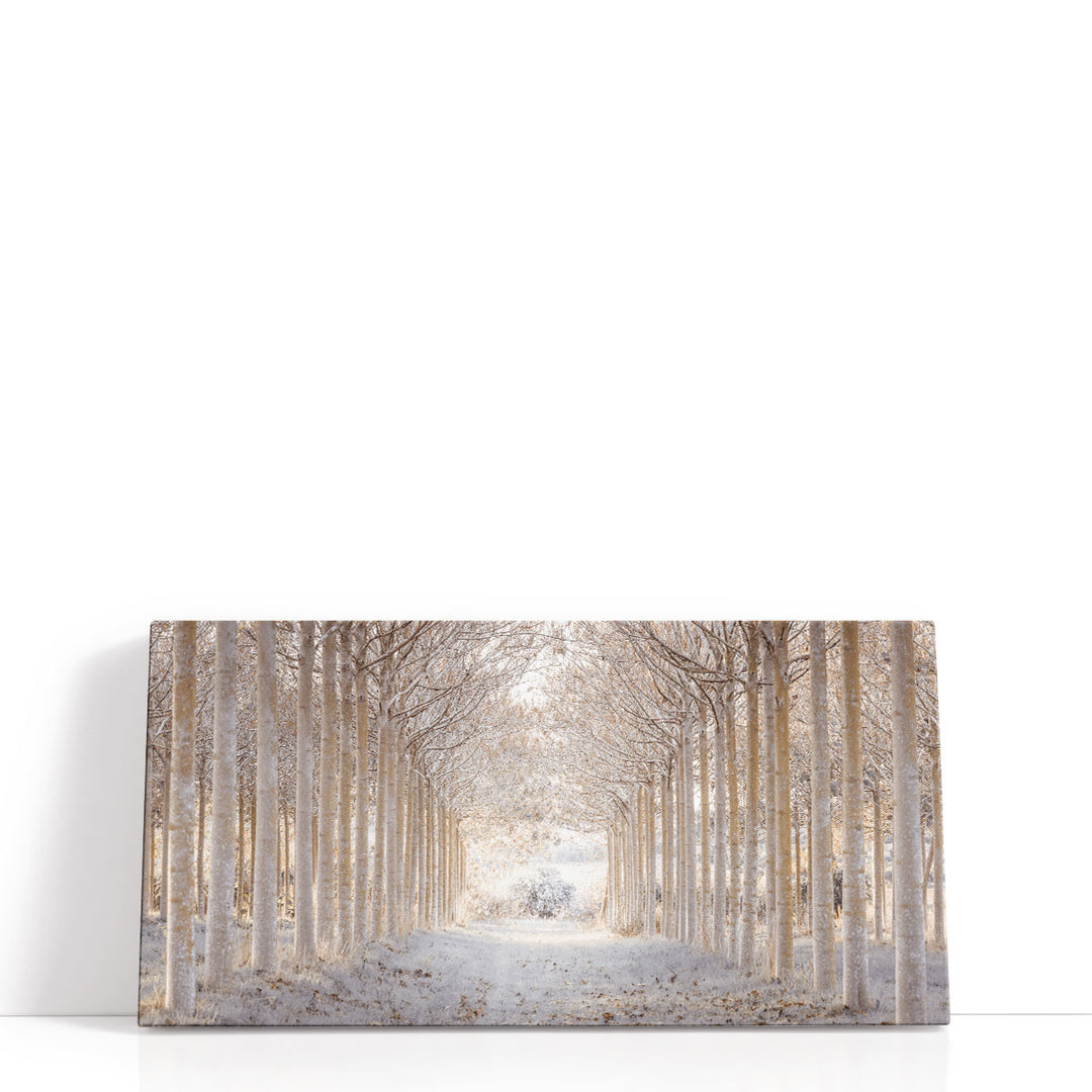 Pathway through Winter Forest - Canvas Print Wall Art