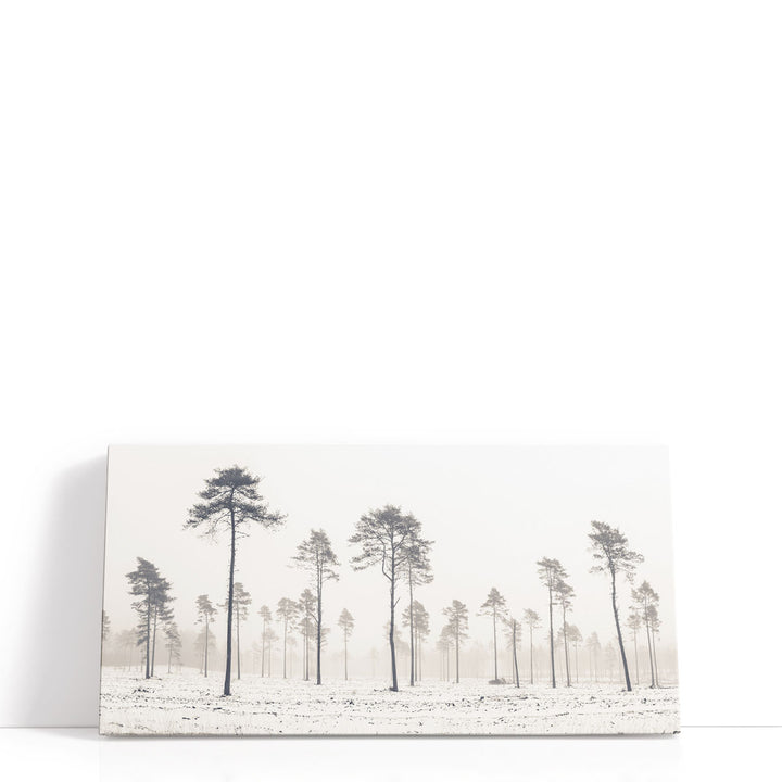 Snowy Forest in Winter - Canvas Print Wall Art