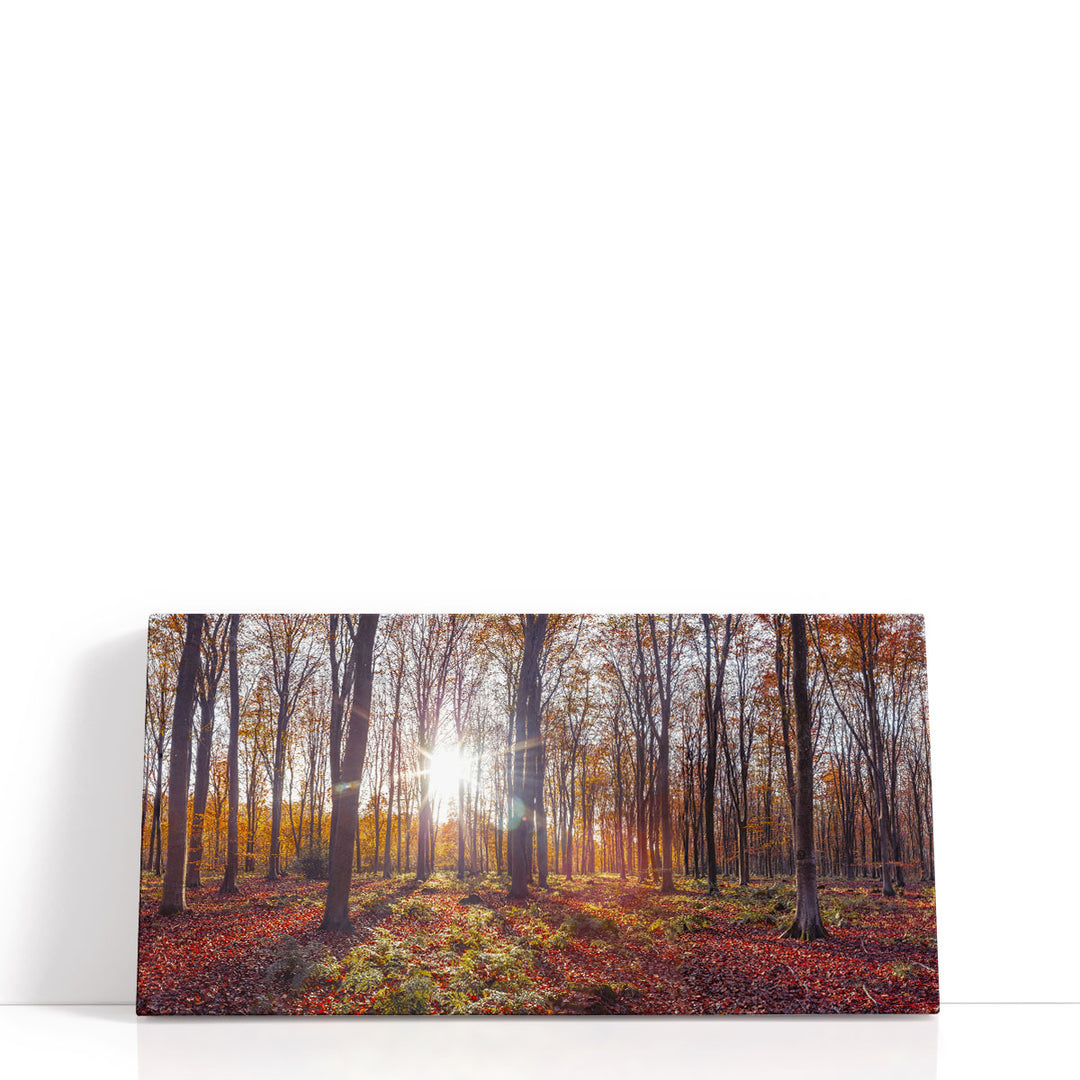 Tree canvas art with fall foliage