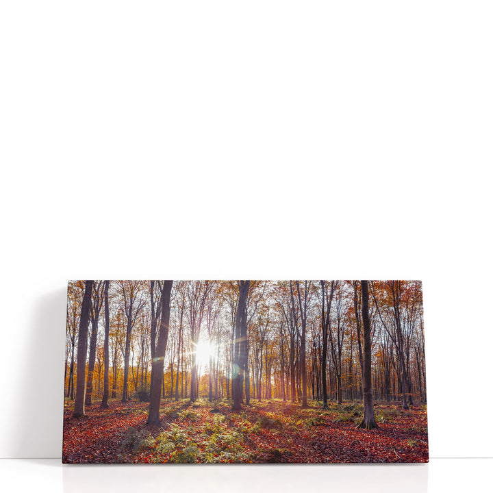 Tree canvas art with fall foliage
