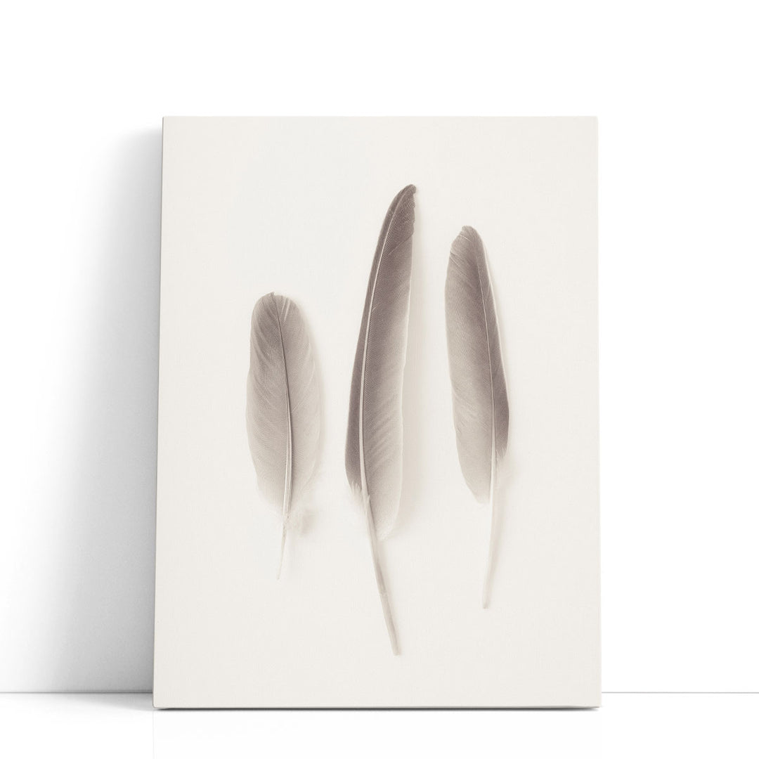 Feather Black And White - Canvas Print Wall Art