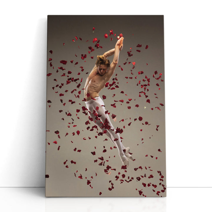 Whispers of Ballet 3 - Canvas Print Wall Art