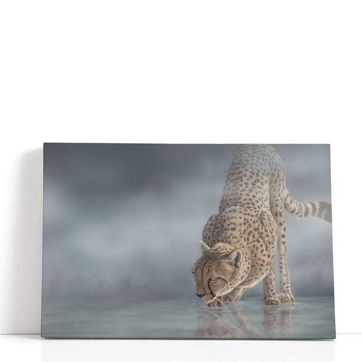 Cheetah in the Mist - Canvas Print Wall Art