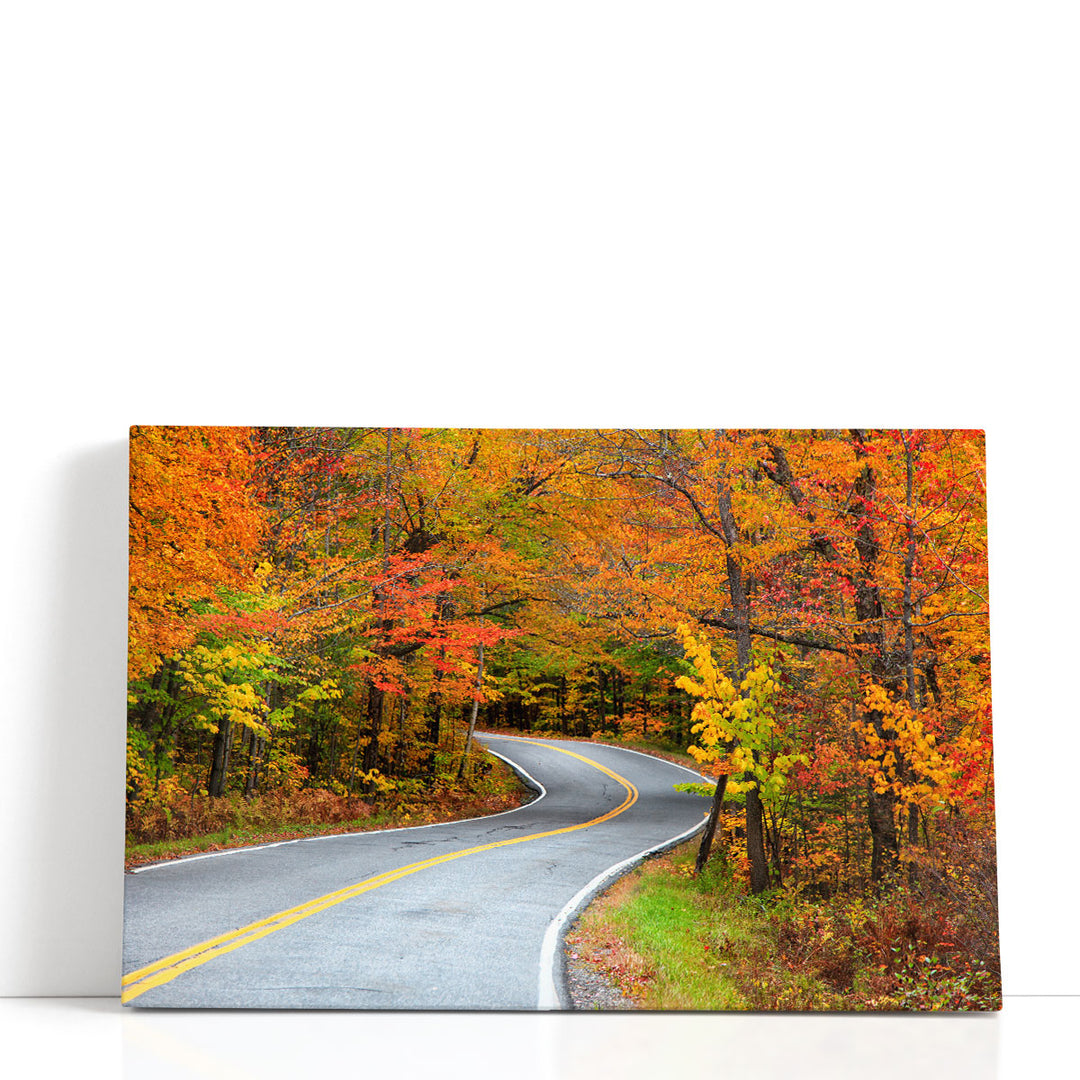 Beautiful Rural Vermont Drive in Autumn Time - Canvas Print Wall Art