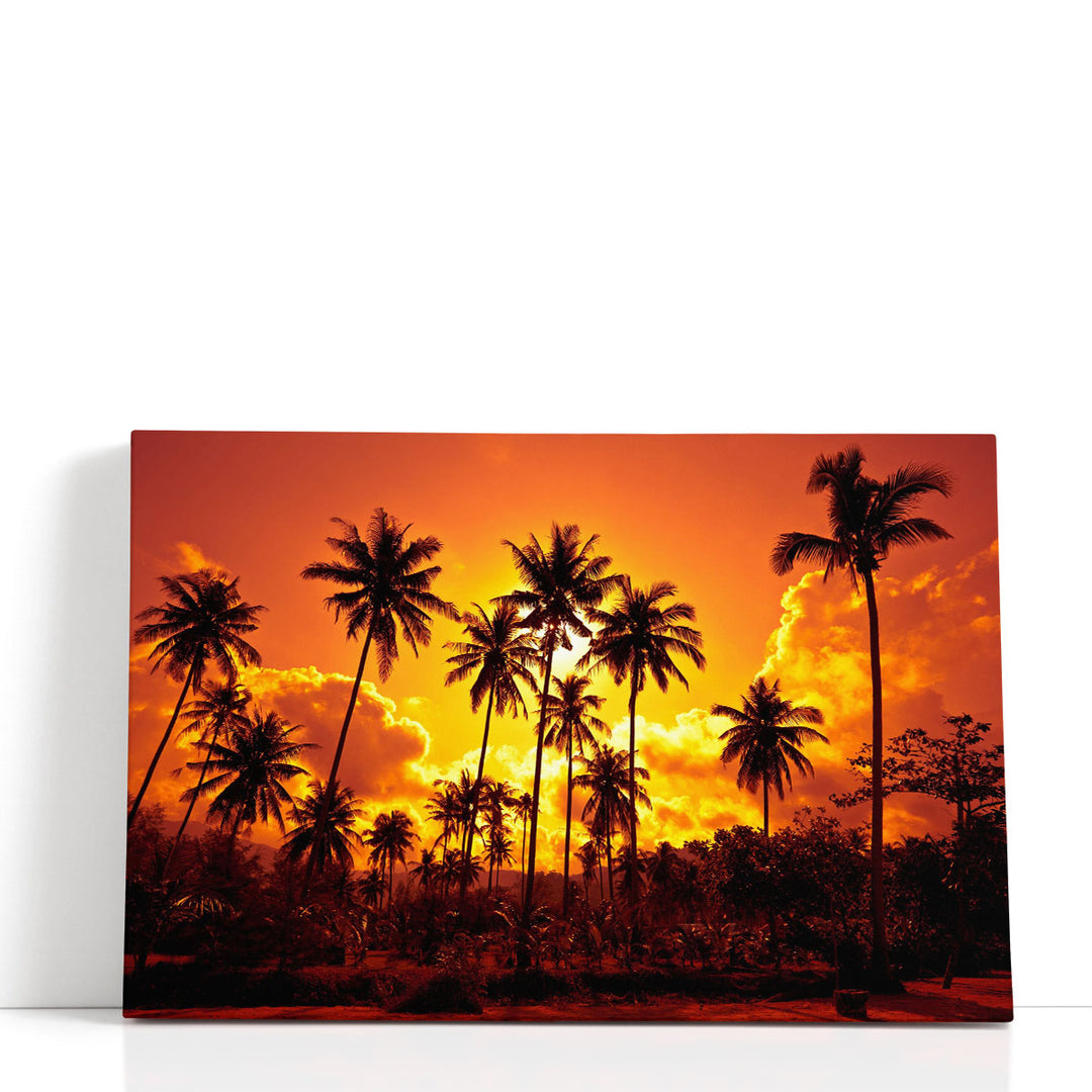 Palm tree prints silhoutte with sunset