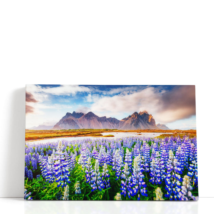Lupine flower canvas art with purple wildflowers